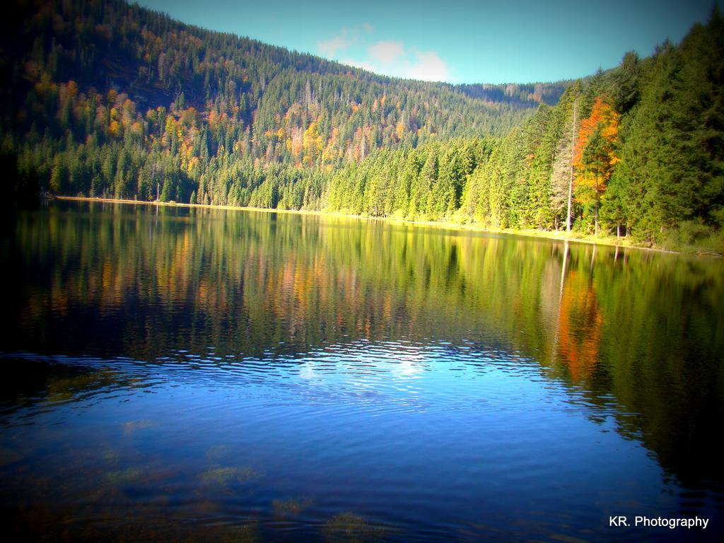 Отель Haus Leutner Боденмайс Экстерьер фото